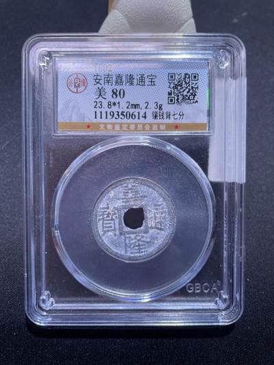捡漏专场 - 安南嘉隆通宝