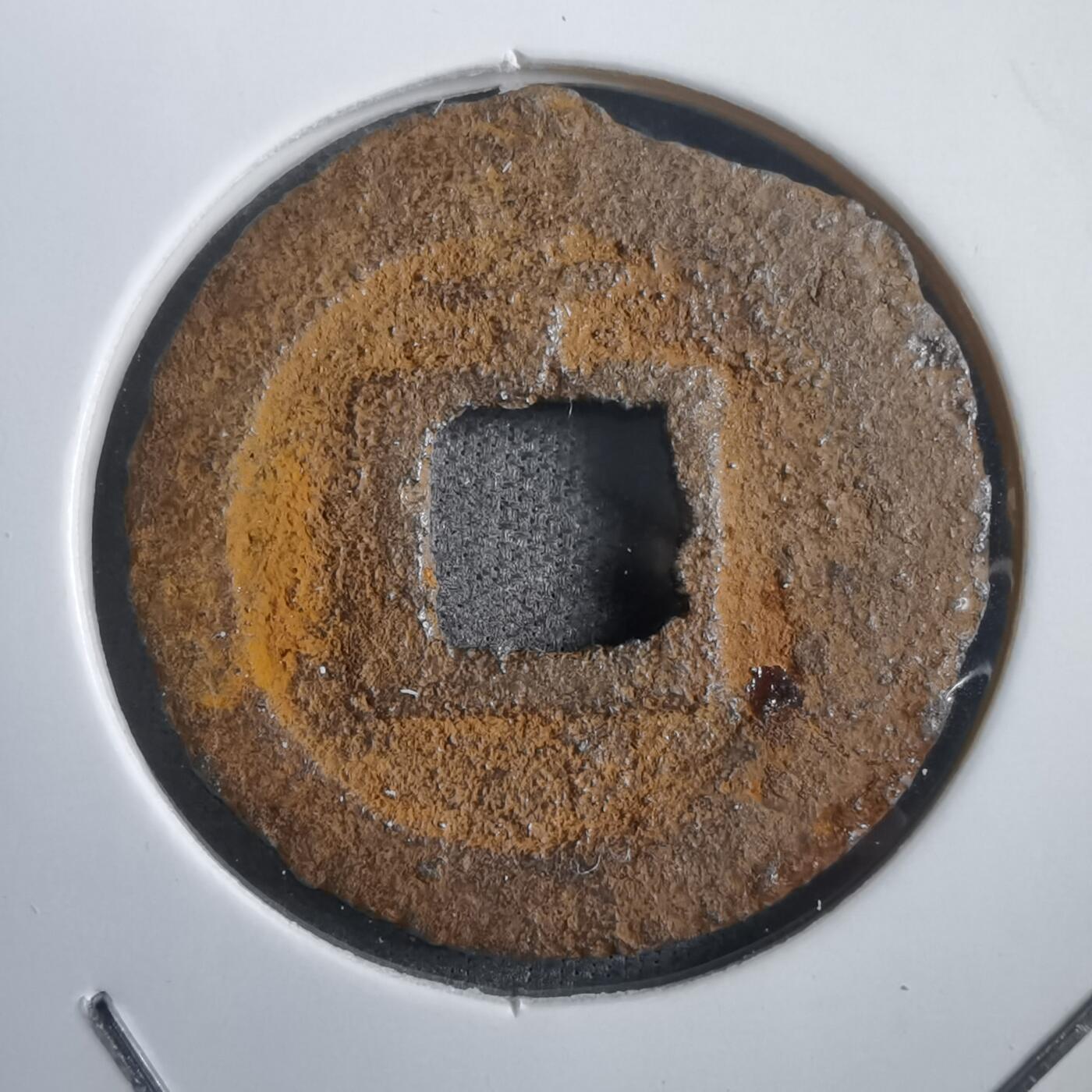 沼泽如烟--第908场 宽永通宝背千