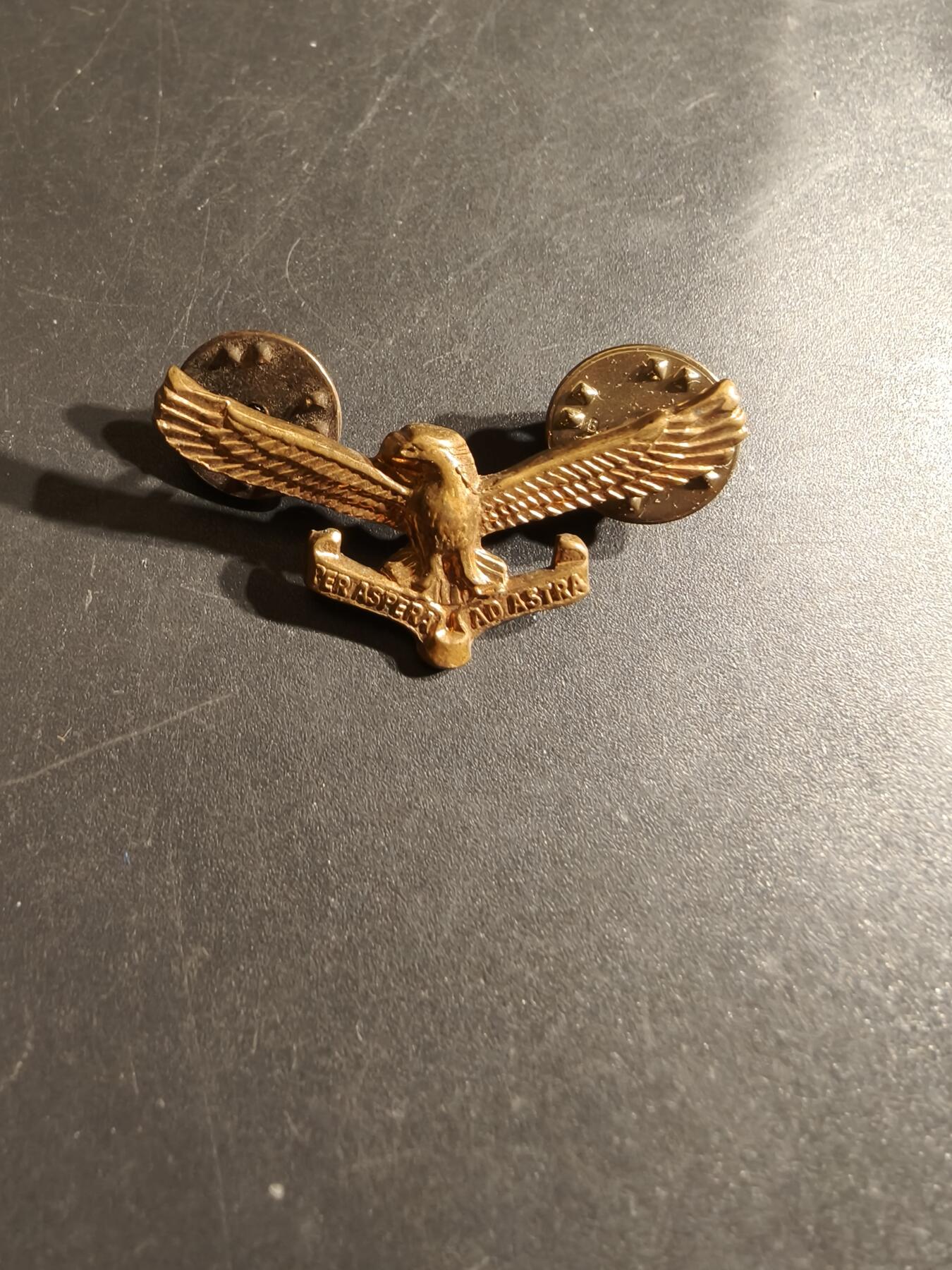 老王徽章第164期  南非空军领章