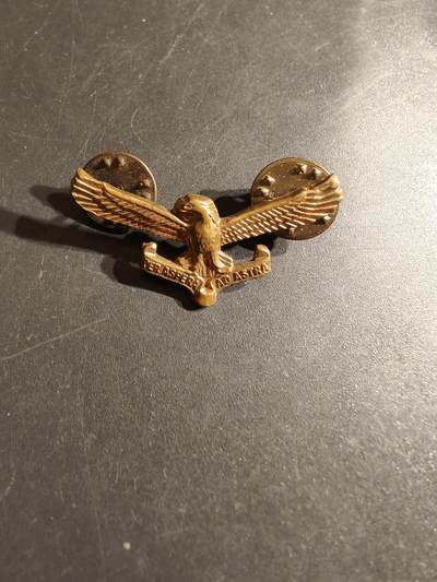 老王徽章第164期 -  南非空军领章