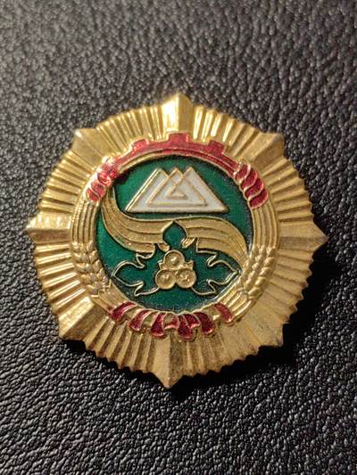 靖甫拍卖第十一场 - 克孜勒苏柯尔克孜自治州服务奖章