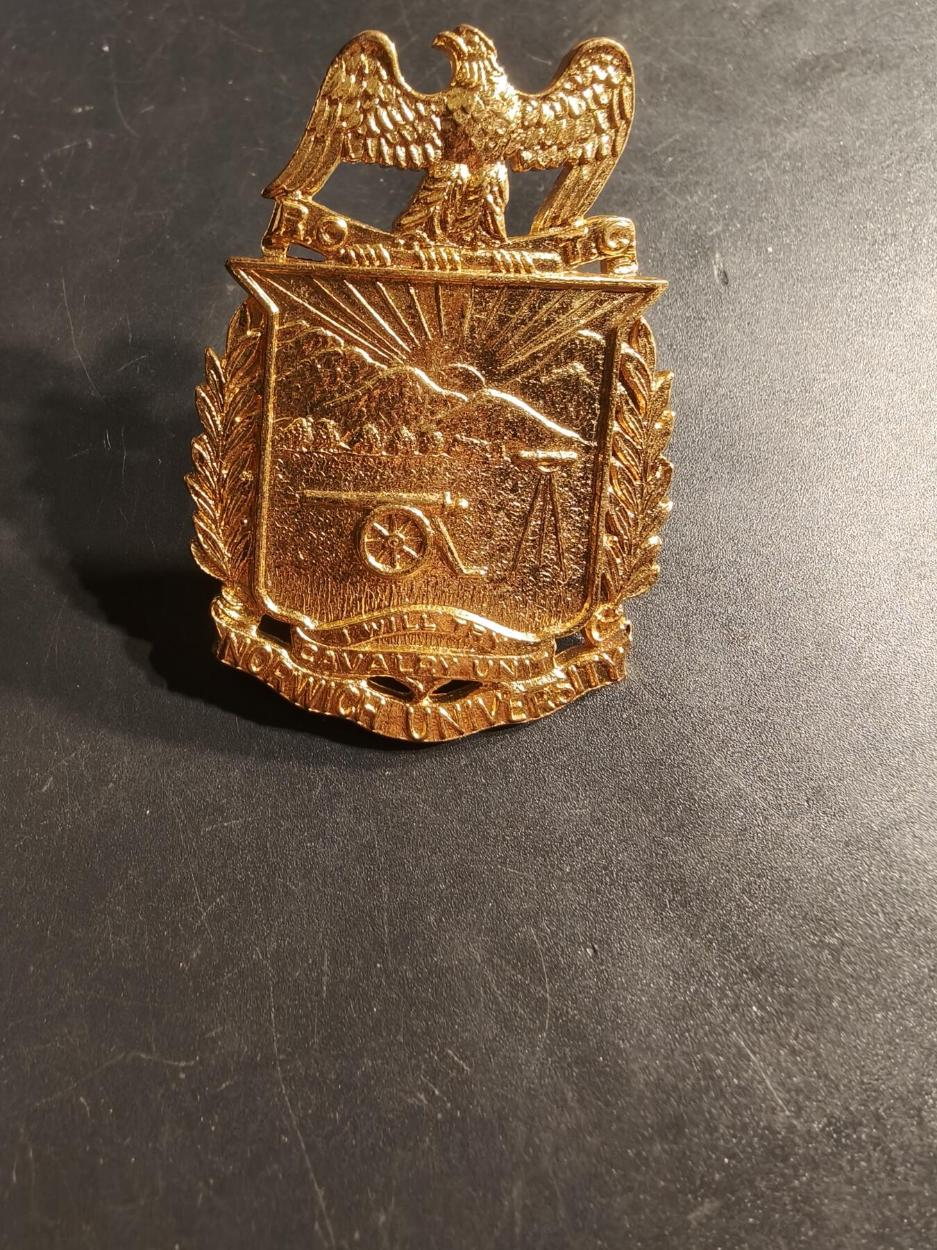 老王徽章第164期