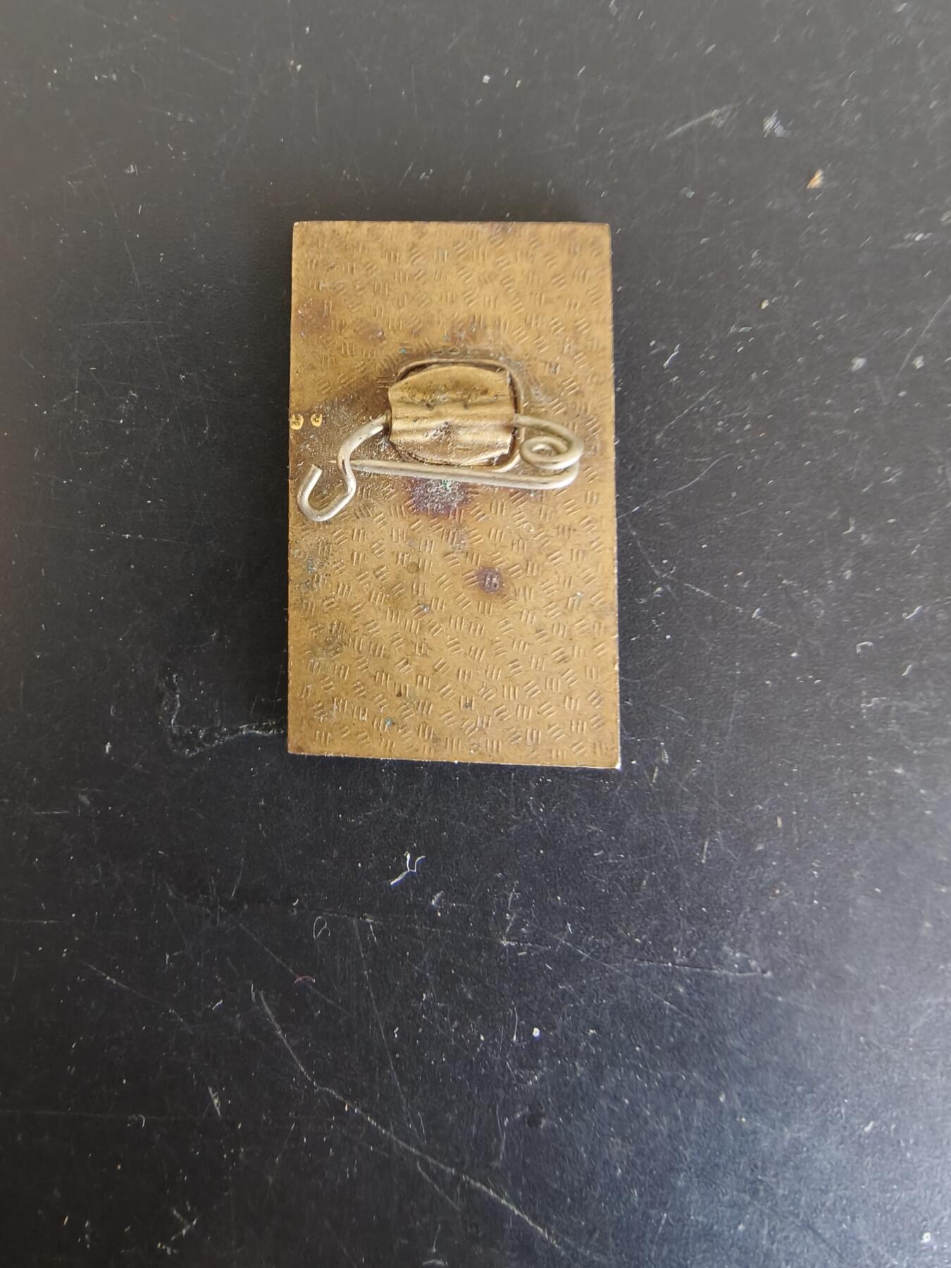 老王徽章第164期 东德30周年纪念章