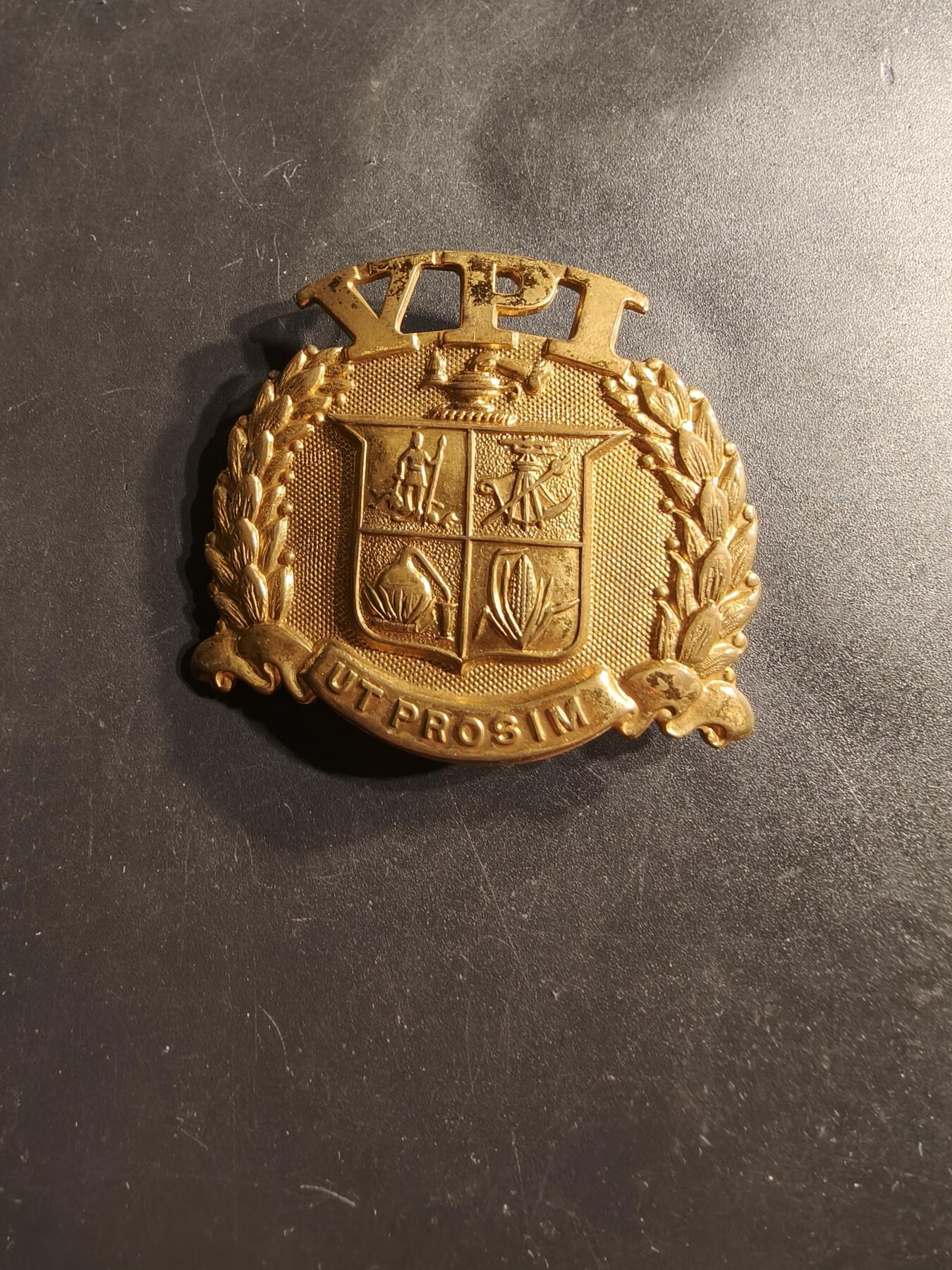 老王徽章第164期