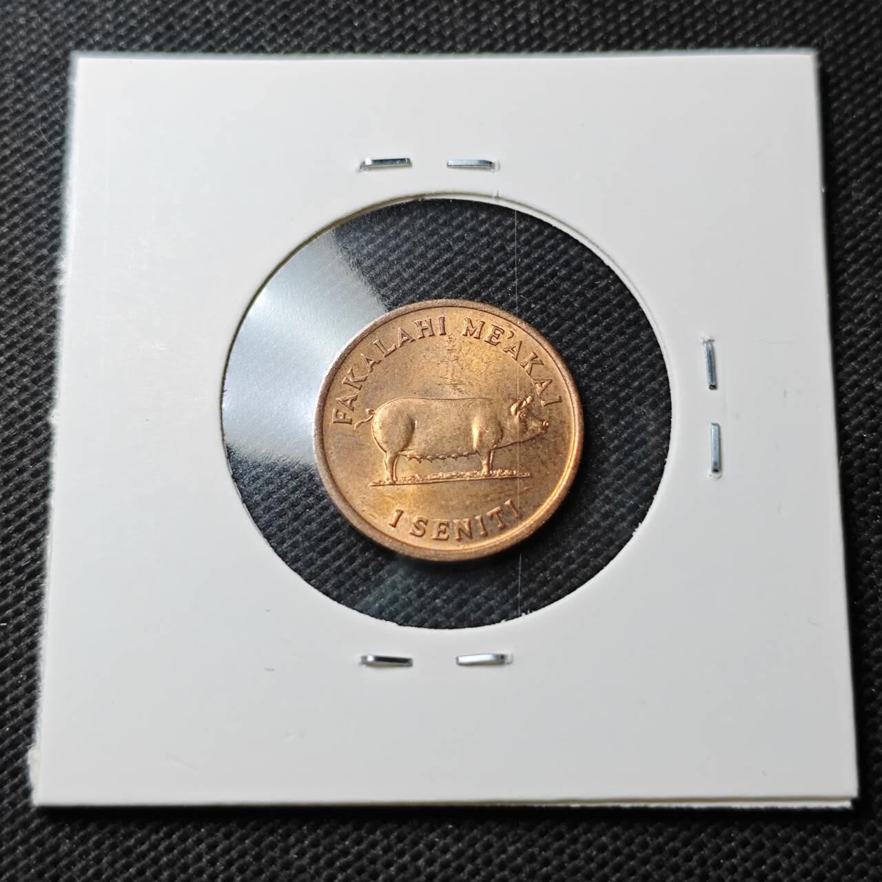 KK钱币收藏小铺  第374场  2月预留时间 周末发货  汤加一分铜币 好品