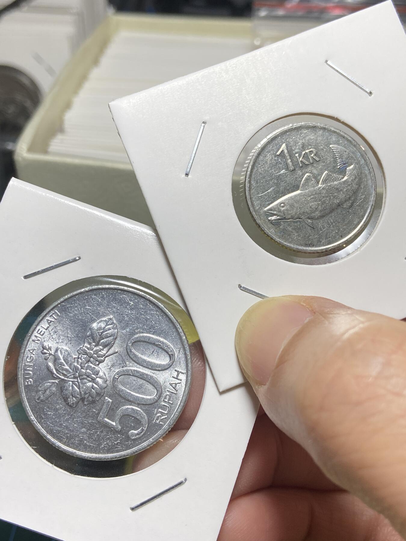 2025年第一百三十一场(总第一百五十七场）外国好品纸夹散币场(免佣金) 散币2枚：冰岛🇮🇸2011年1克朗，印度尼西亚🇮🇩2003年500卢比