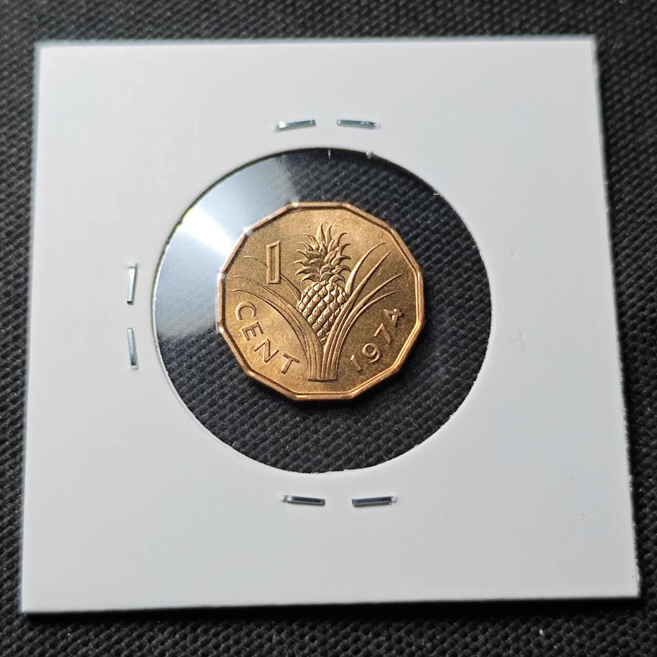 KK钱币收藏小铺  第374场  2月预留时间 周末发货  斯威士兰1分铜币