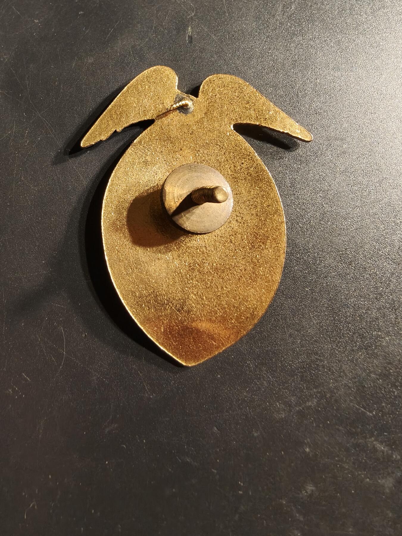 老王徽章第164期