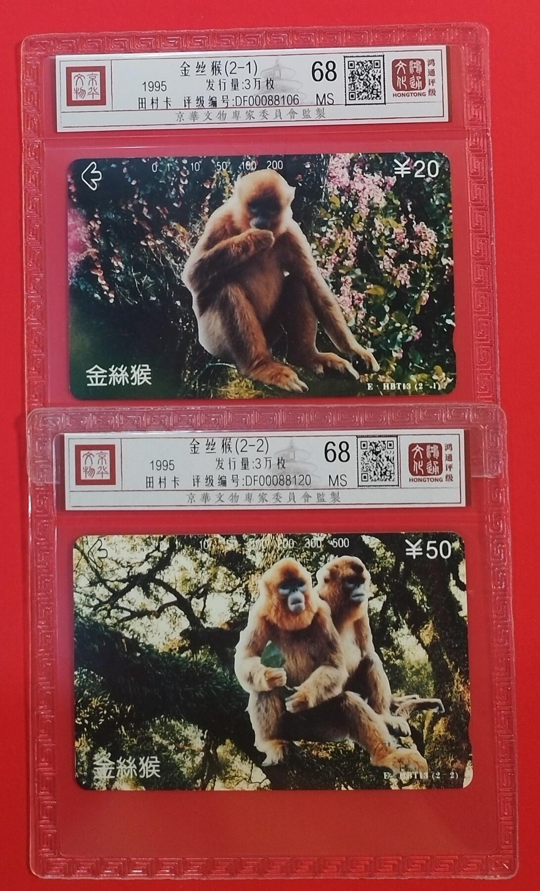 《鸿通俱乐部》拍卖第64期 11月19日21：00延时节拍 湖北田村新卡《金丝猴》2全  鸿通  68分*2