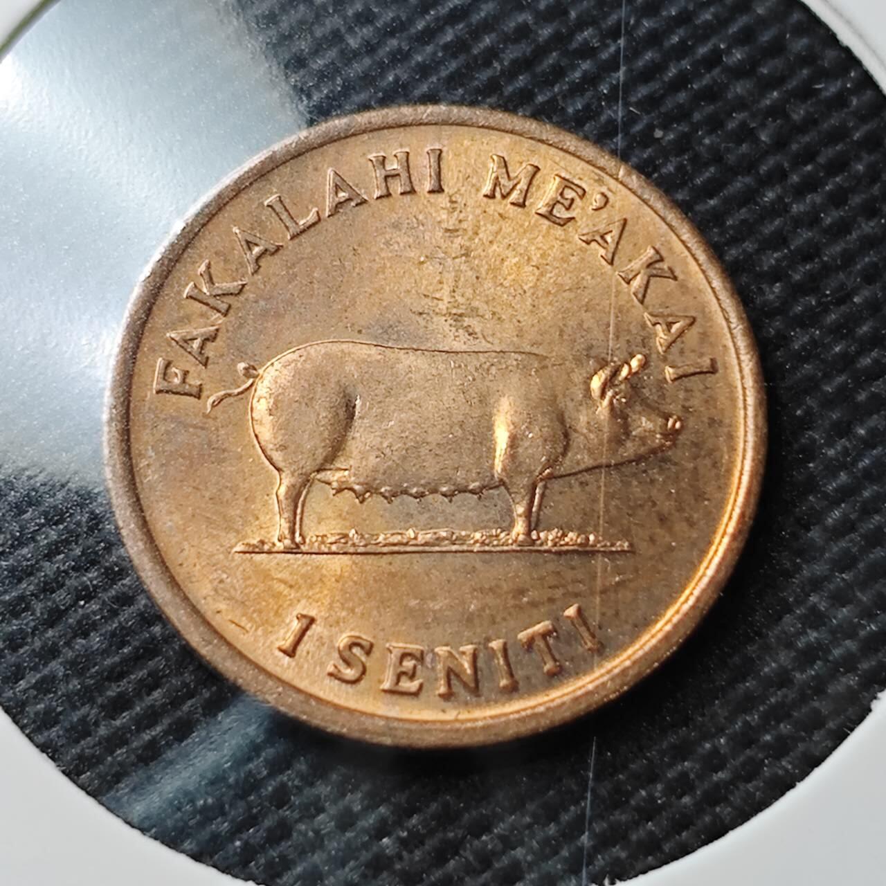 KK钱币收藏小铺  第374场  2月预留时间 周末发货  汤加一分铜币 好品