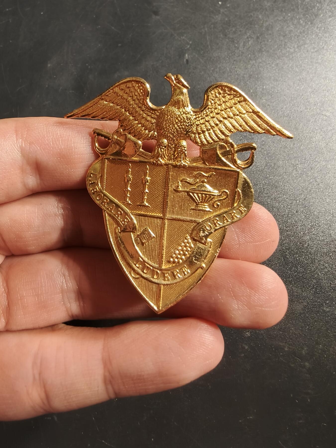 老王徽章第164期