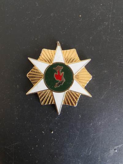 老王徽章第164期 -  美国越战战役奖章    断头