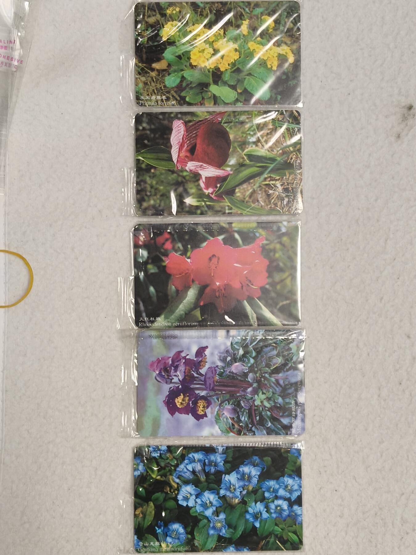 易卡拍卖第59期