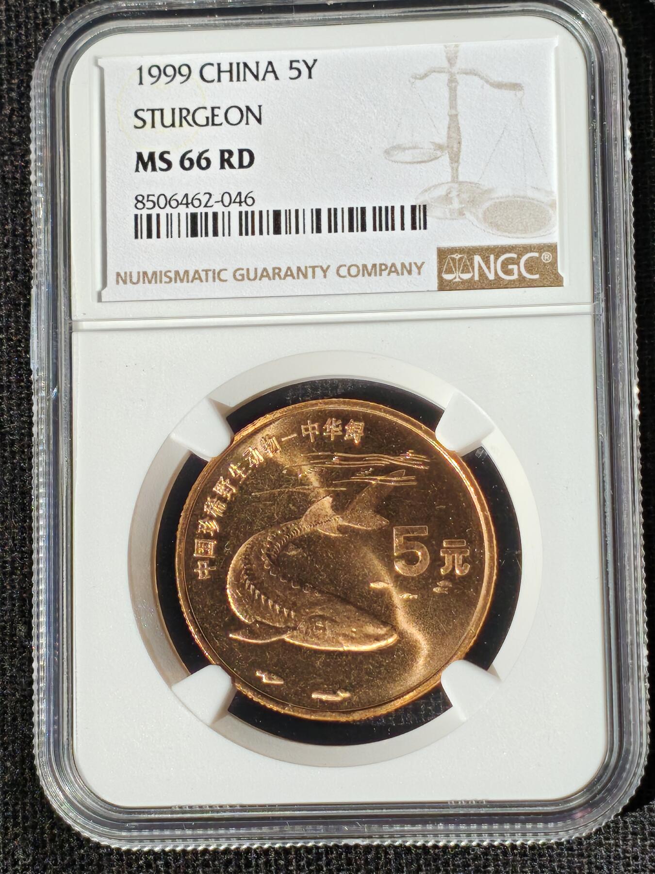 刘世昌艺术品销售中心～虎踞龙蟠*金杨在线联拍群第510期  1999年流通纪念币“中华鲟”（NGC MS66RD 串号：8506462-046）1枚。