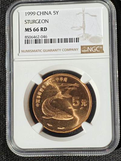 刘世昌艺术品销售中心～虎踞龙蟠*金杨在线联拍群第510期 -  1999年流通纪念币“中华鲟”（NGC MS66RD 串号：8506462-046）1枚。