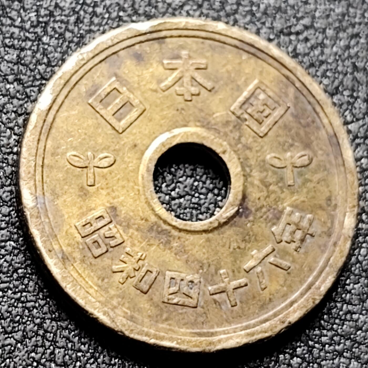 泉币菌-第133场-精品福利场 。