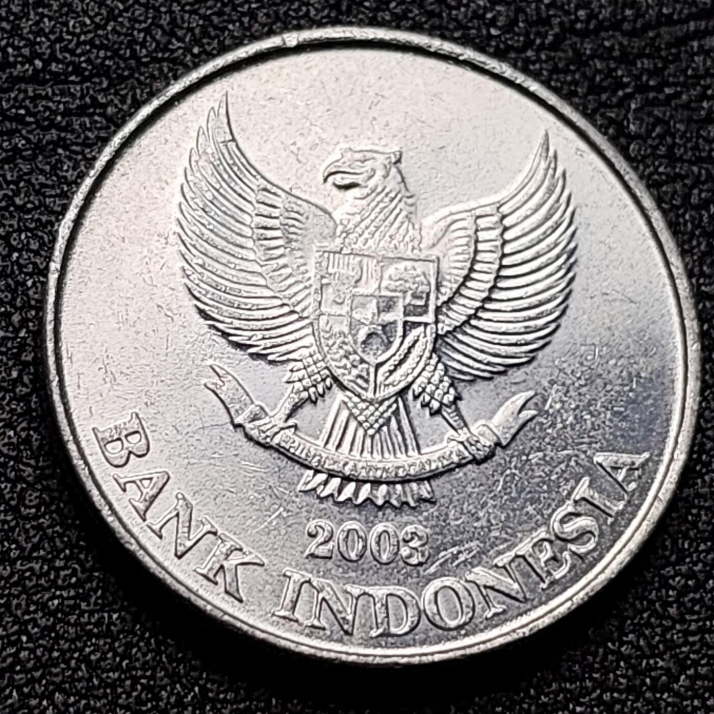 泉币菌-第135场-精品福利场 。