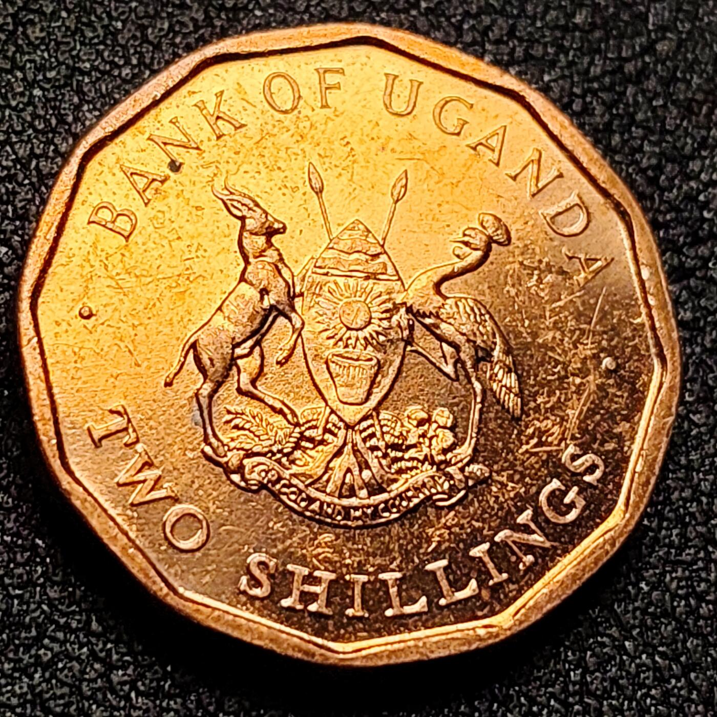 泉币菌-第134场-精品福利场 。