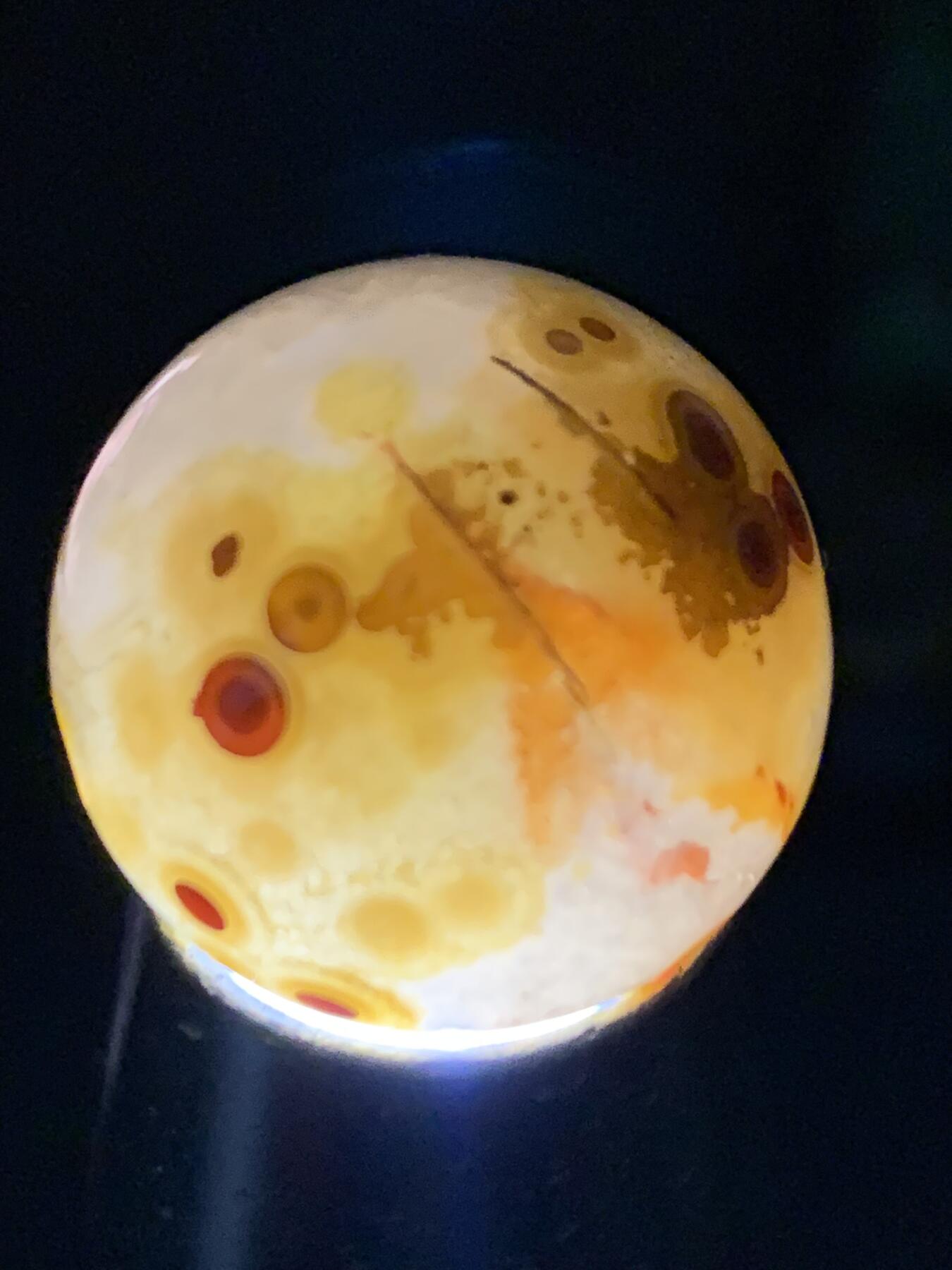 精美高玉化天眼纹冰飘原皮草花纹战国红玛瑙圆珠一个