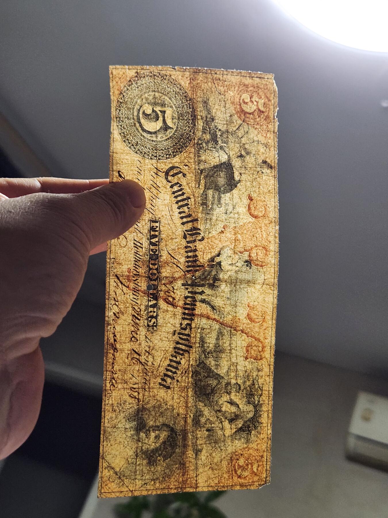 11月23号晚上8点 外国纸币自动截拍第63场 稀少