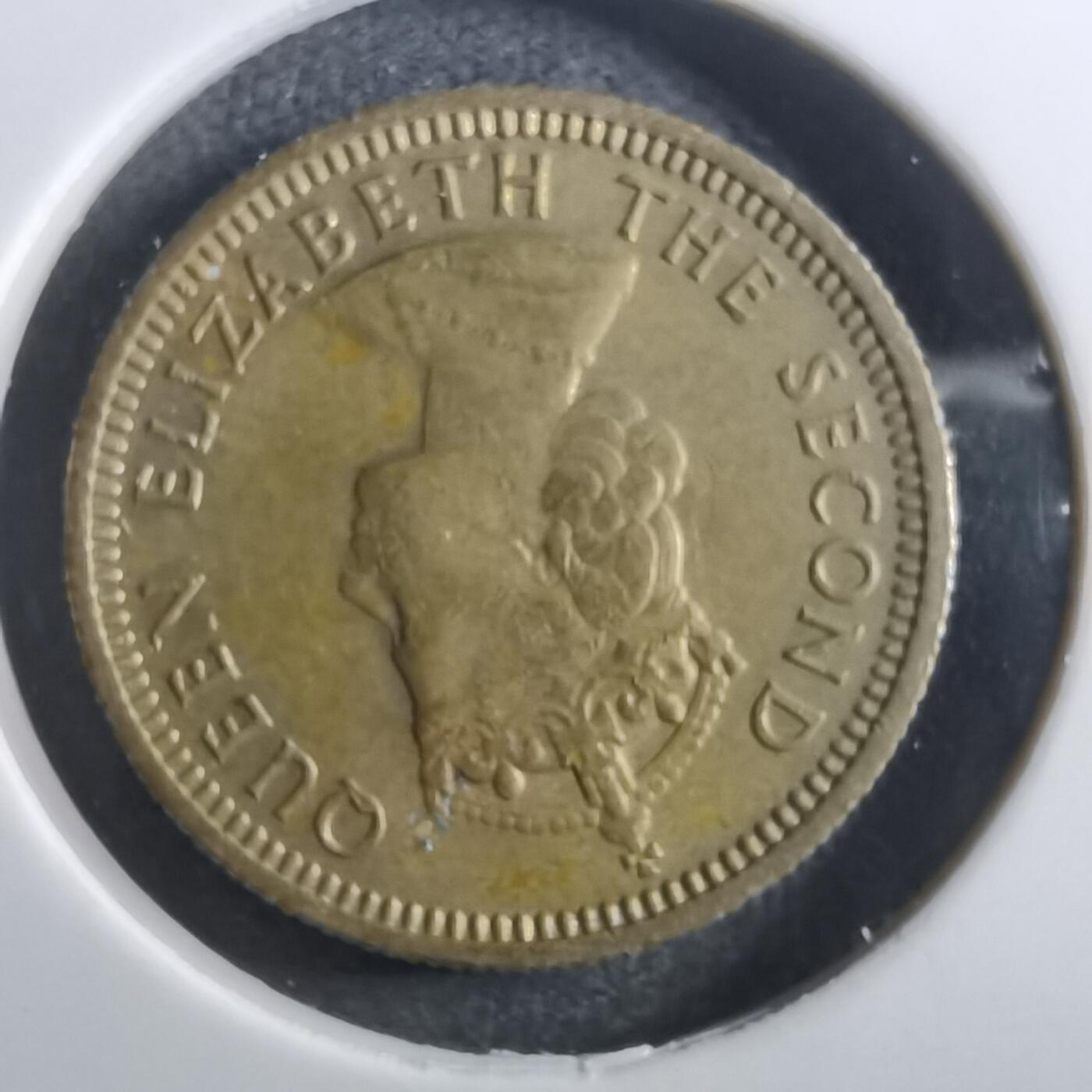 沼泽如烟--第910场 香港1971年五仙