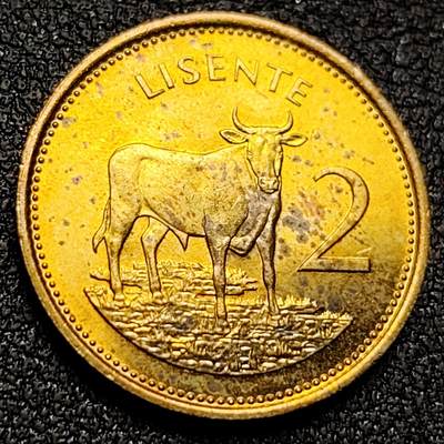 泉币菌-第134场-精品福利场 - 稀少原铜光 莫舒舒首任国王 牛 莱索托1979年2分镍黄铜硬币 19.5毫米 2.5克 