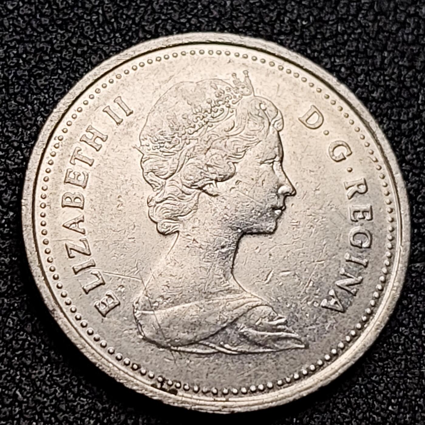 泉币菌-第135场-精品福利场 。