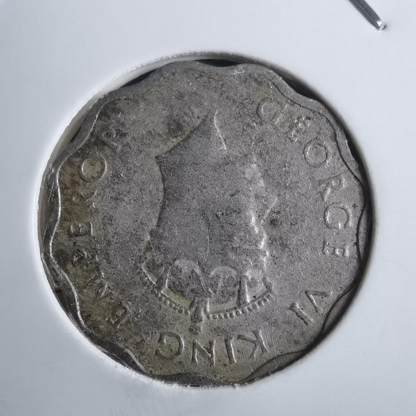 沼泽如烟--第910场