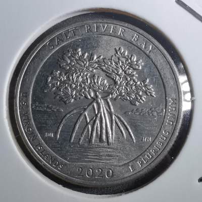 沼泽如烟--第910场 - 美国2020年25分纪念币