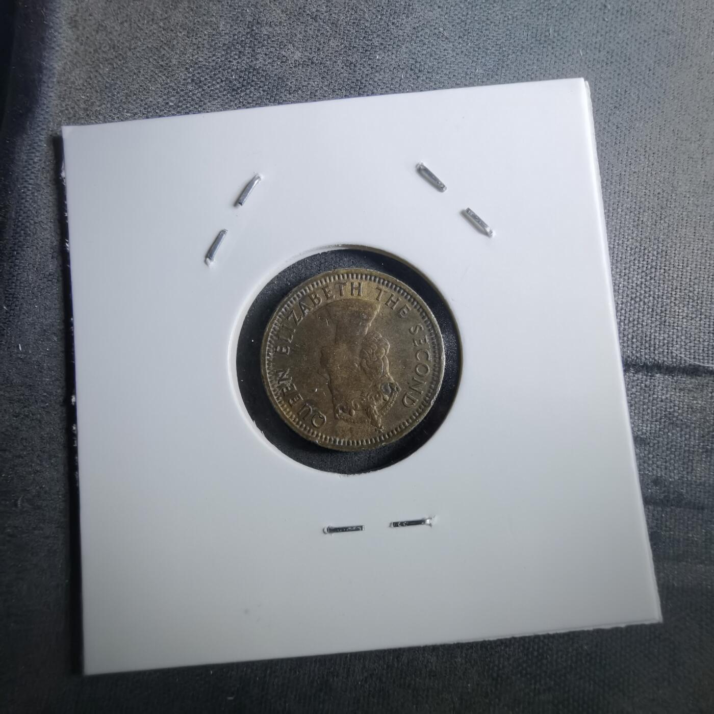 沼泽如烟--第910场 香港1965年五仙