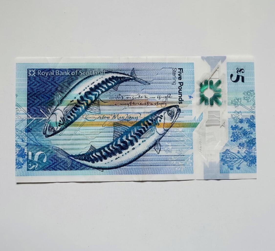 【礼羽收藏】🌏世界钱币拍卖第113期 【AY778656】2016年苏格兰皇家银行5镑塑料钞女诗人薛帕德  非全新