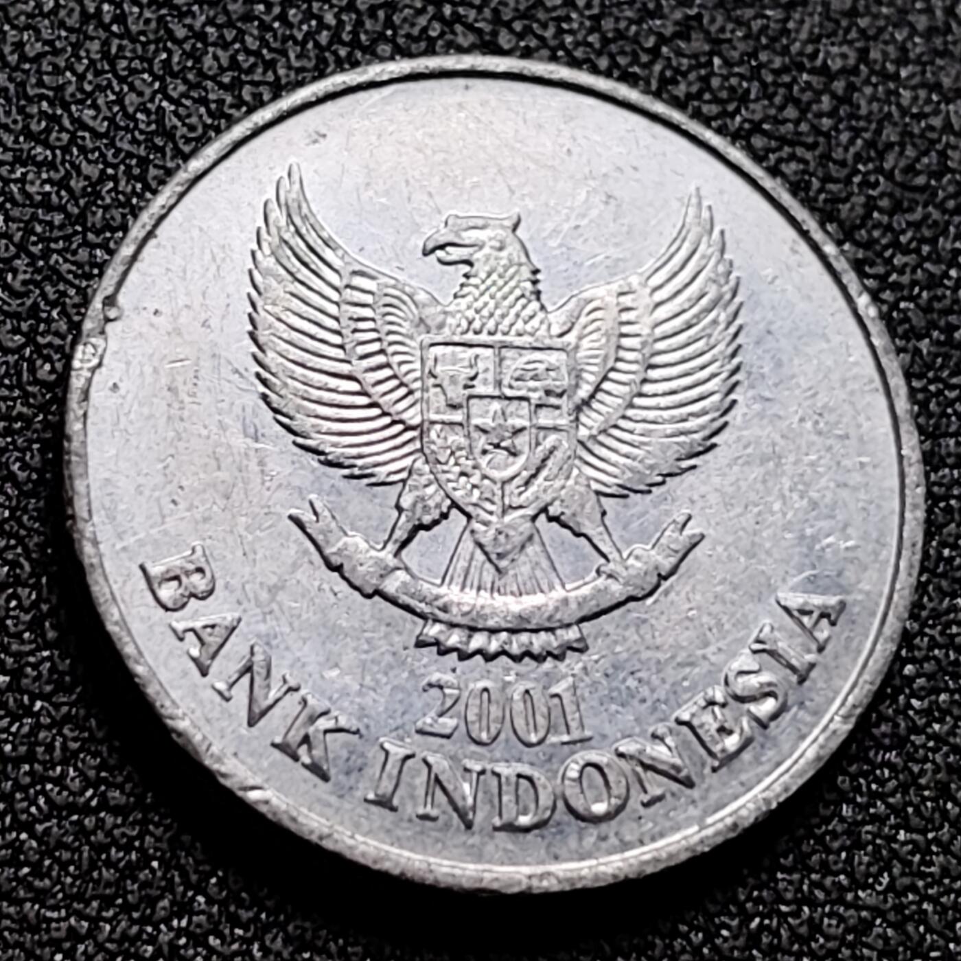 泉币菌-第133场-精品福利场 。