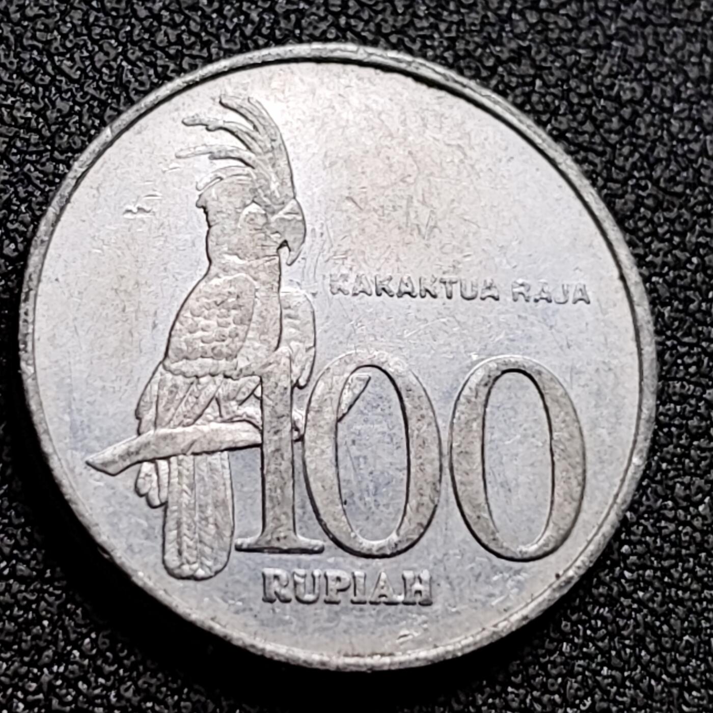 泉币菌-第133场-精品福利场 。