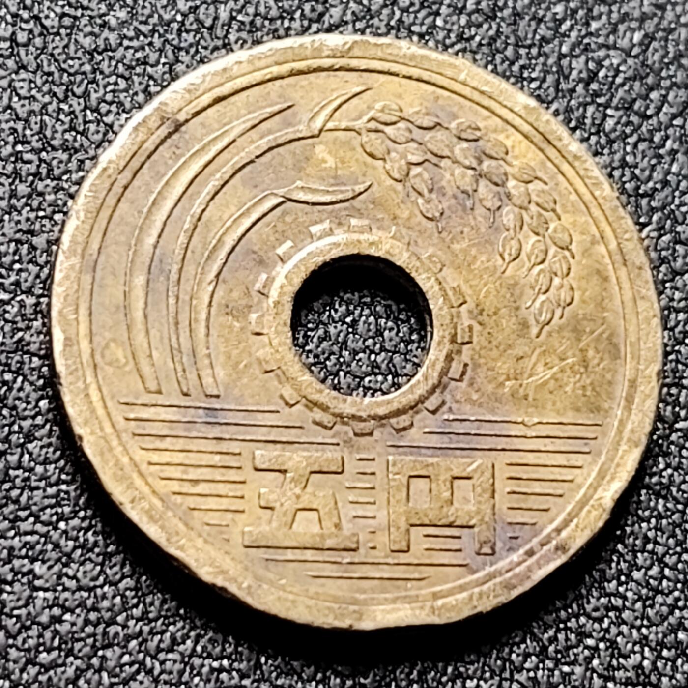 泉币菌-第133场-精品福利场 。