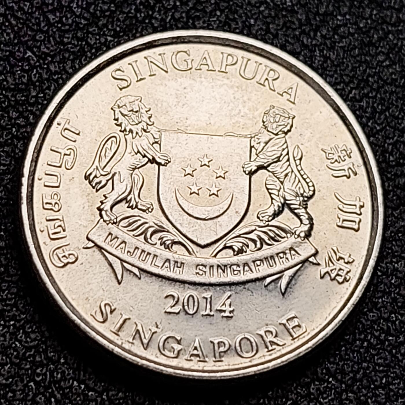 泉币菌-第135场-精品福利场 。