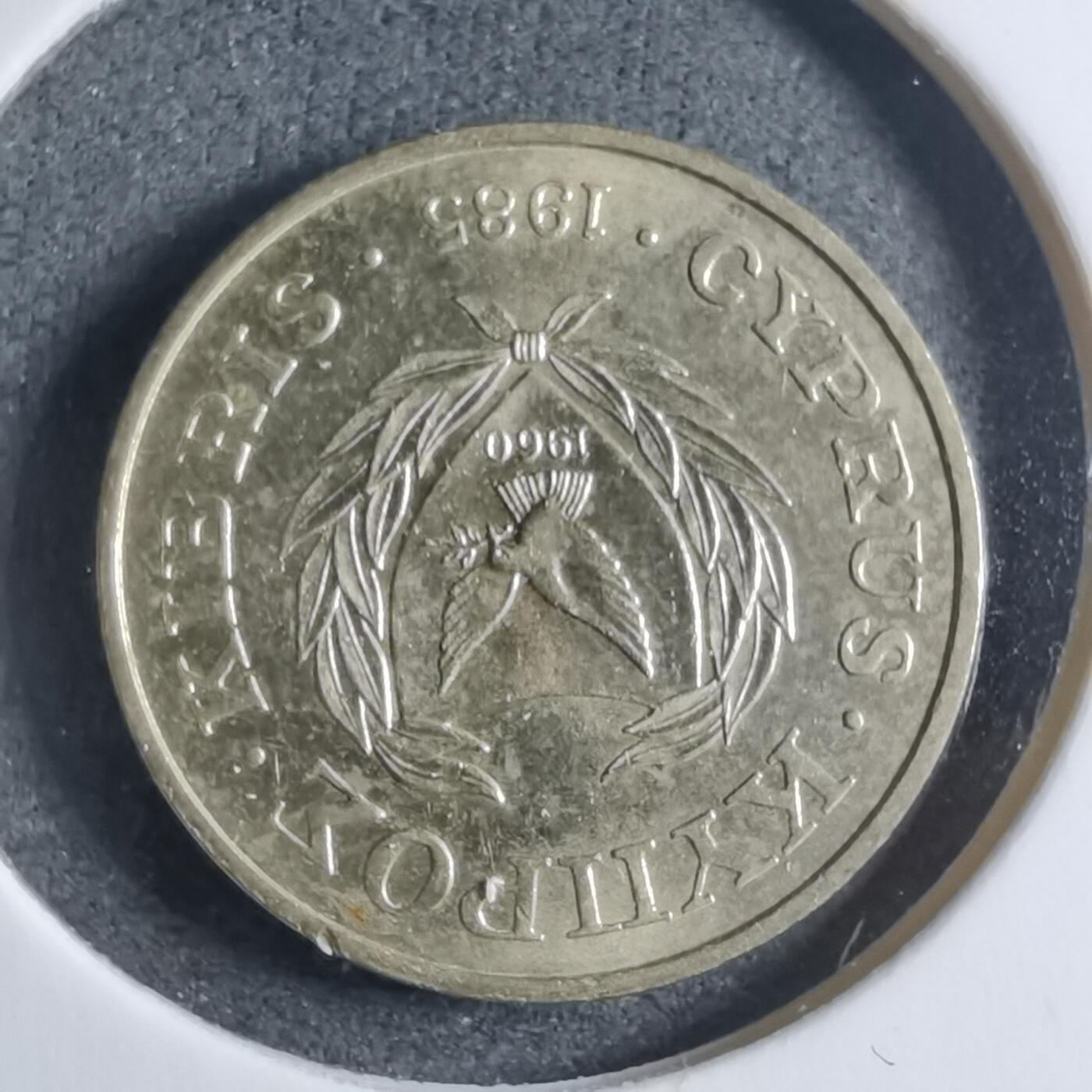 沼泽如烟--第909场