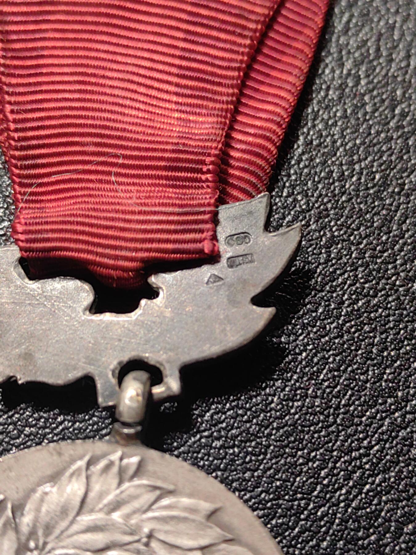 靖甫拍卖第十一场 捷克斯洛伐克保卫祖国有功奖章 银质打银标 银章体重23.2克 纯银价243