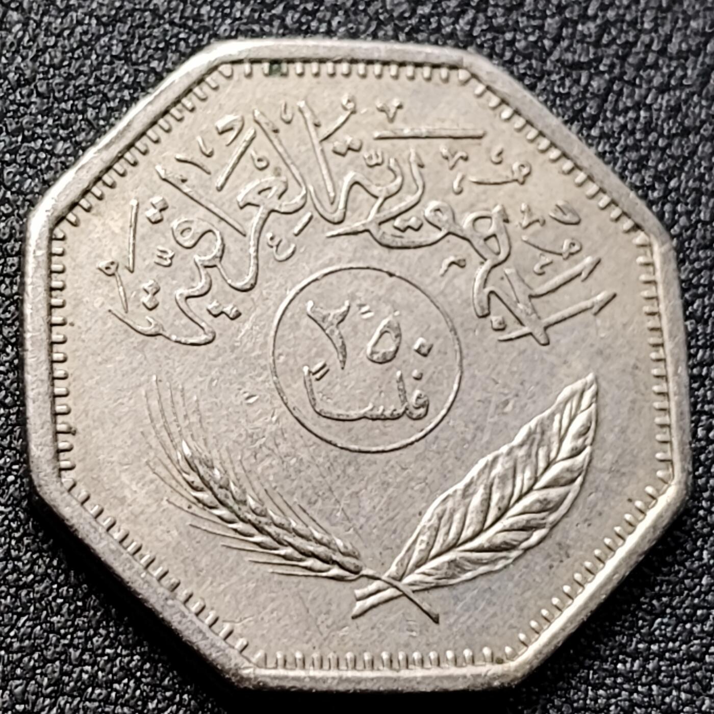 泉币菌-第135场-精品福利场 。