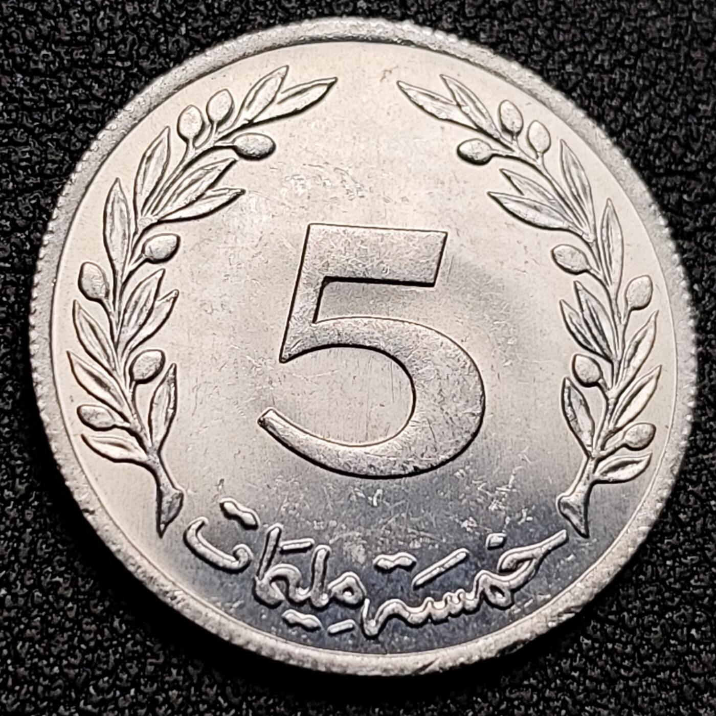 泉币菌-第134场-精品福利场 。