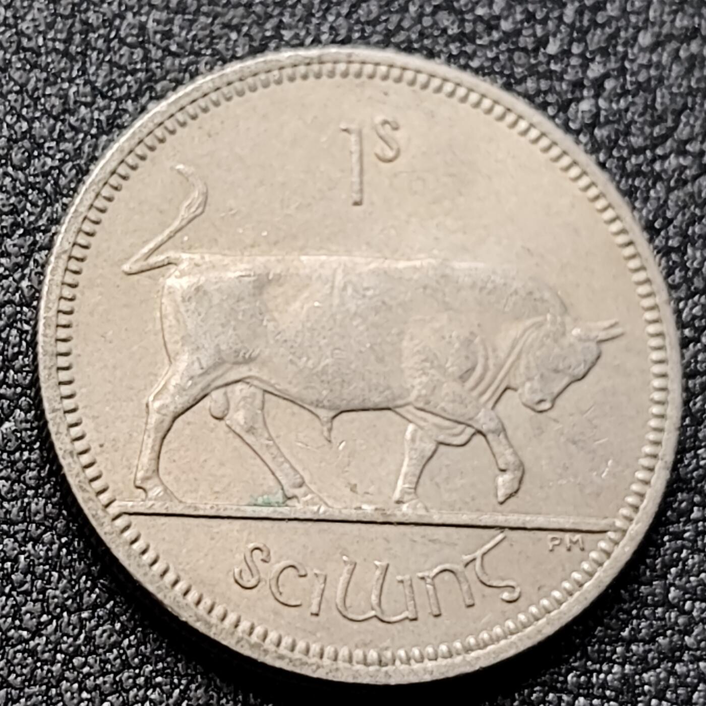 泉币菌-第135场-精品福利场 。