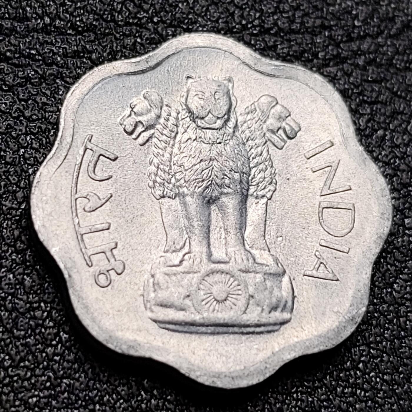 泉币菌-第135场-精品福利场 。