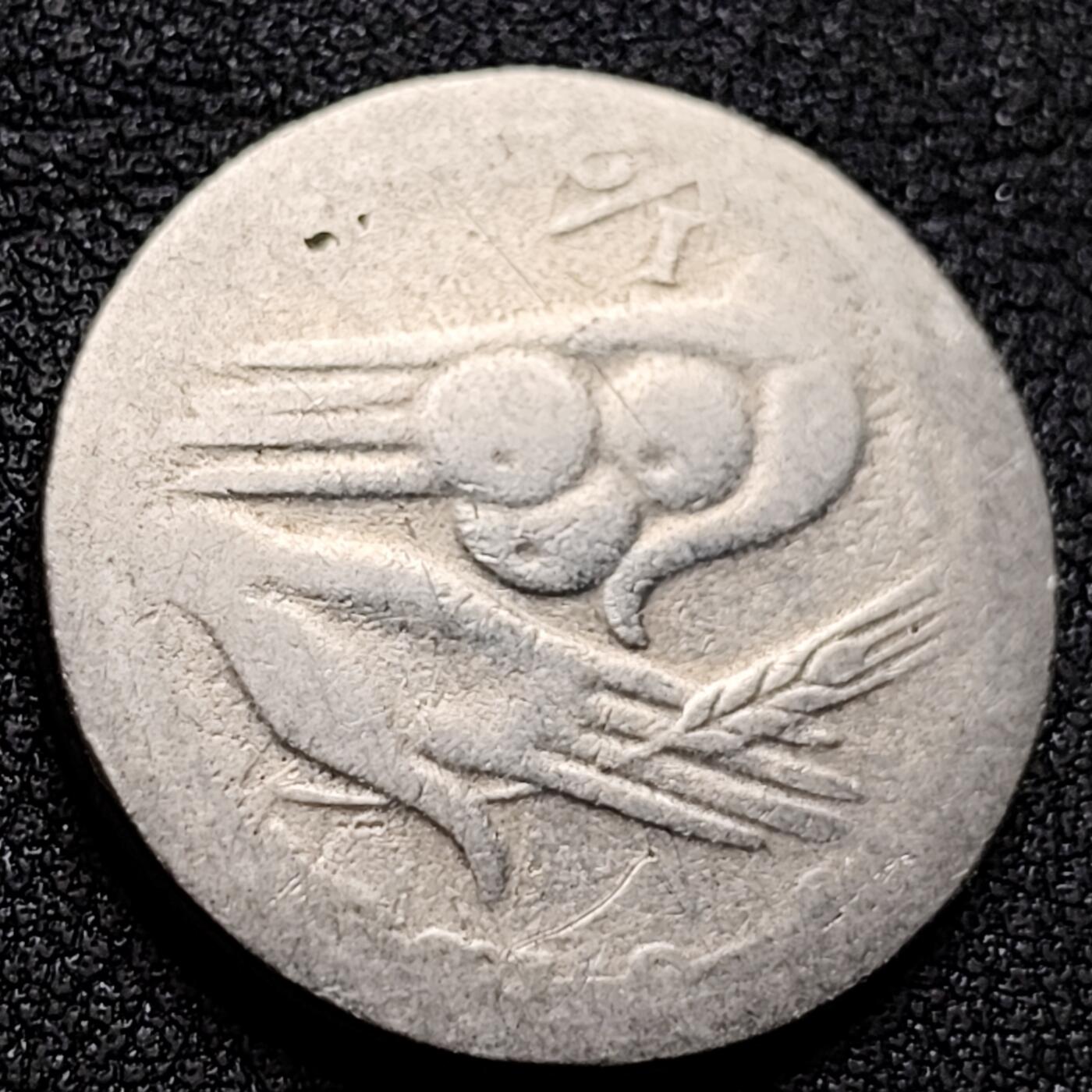 泉币菌-第134场-精品福利场 。