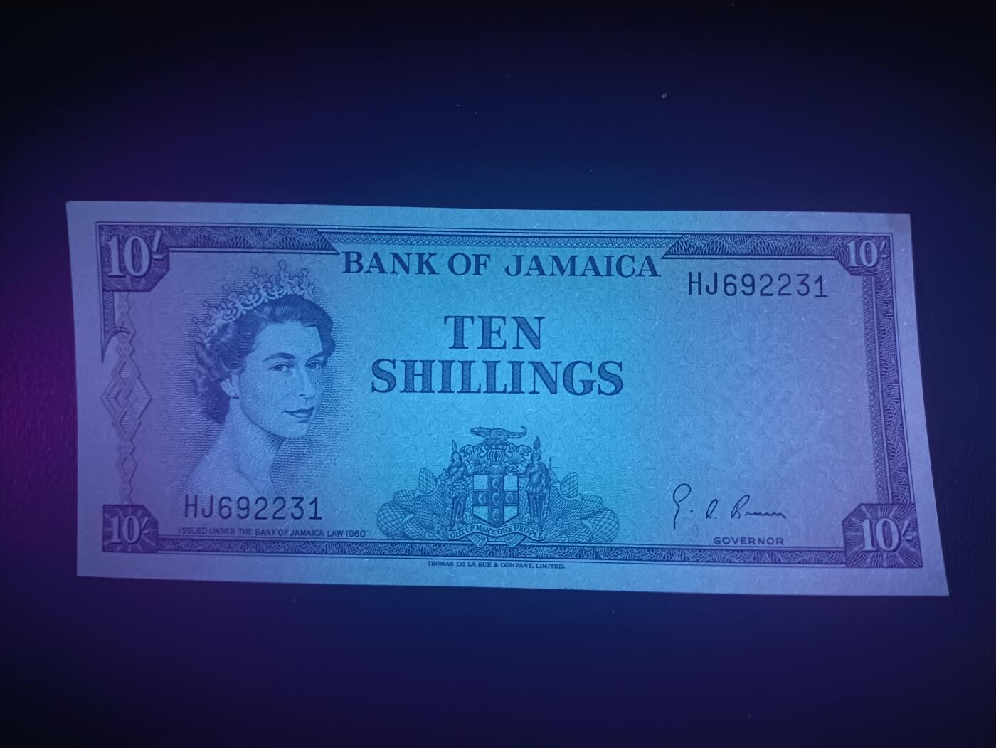 2025十一月第五期，总第203期