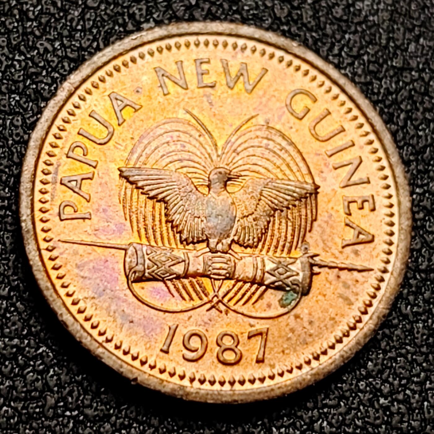 泉币菌-第133场-精品福利场 。