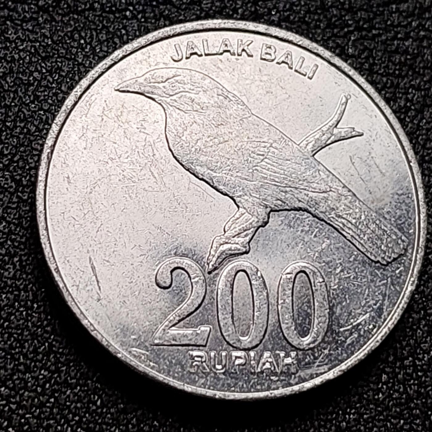 泉币菌-第135场-精品福利场 。