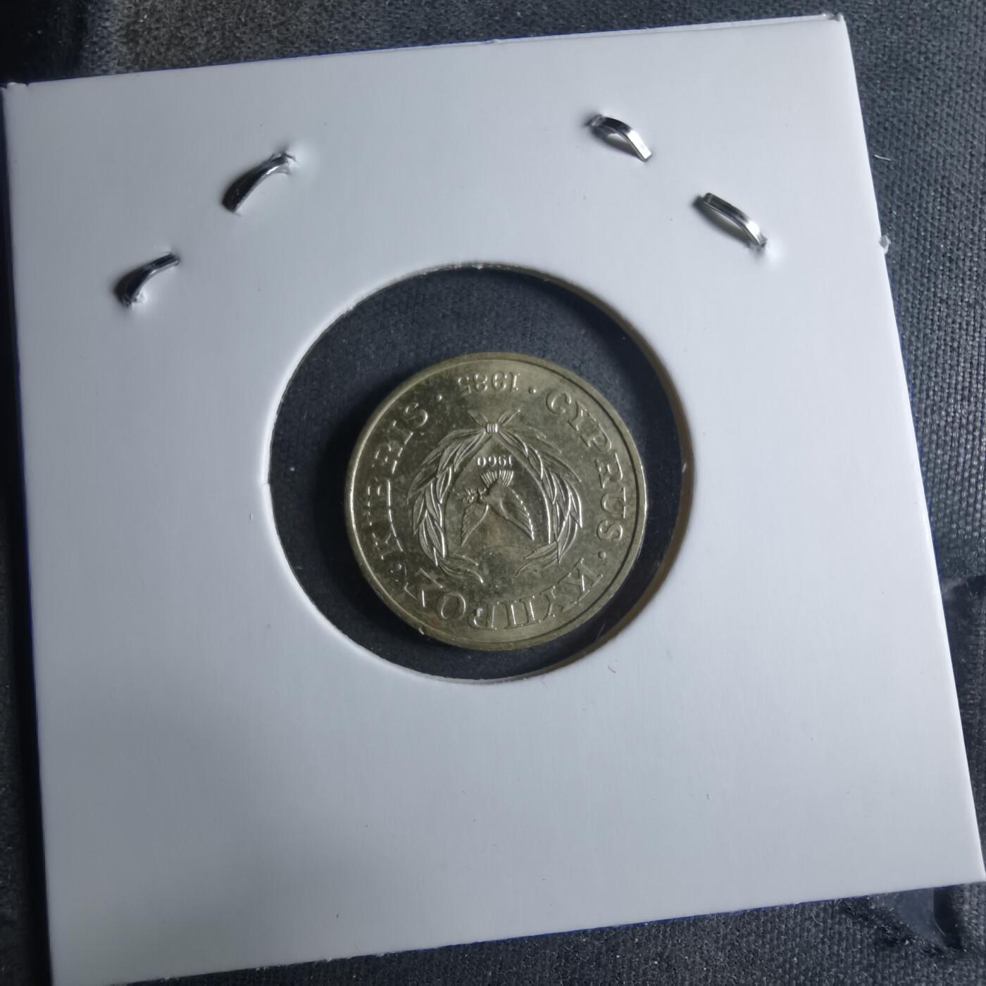 沼泽如烟--第909场