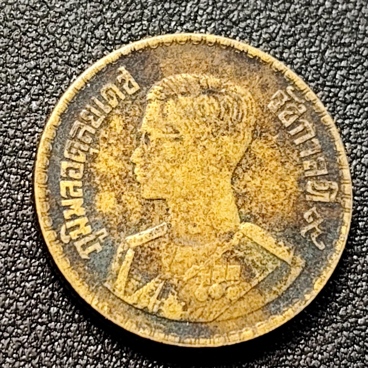 泉币菌-第135场-精品福利场 。