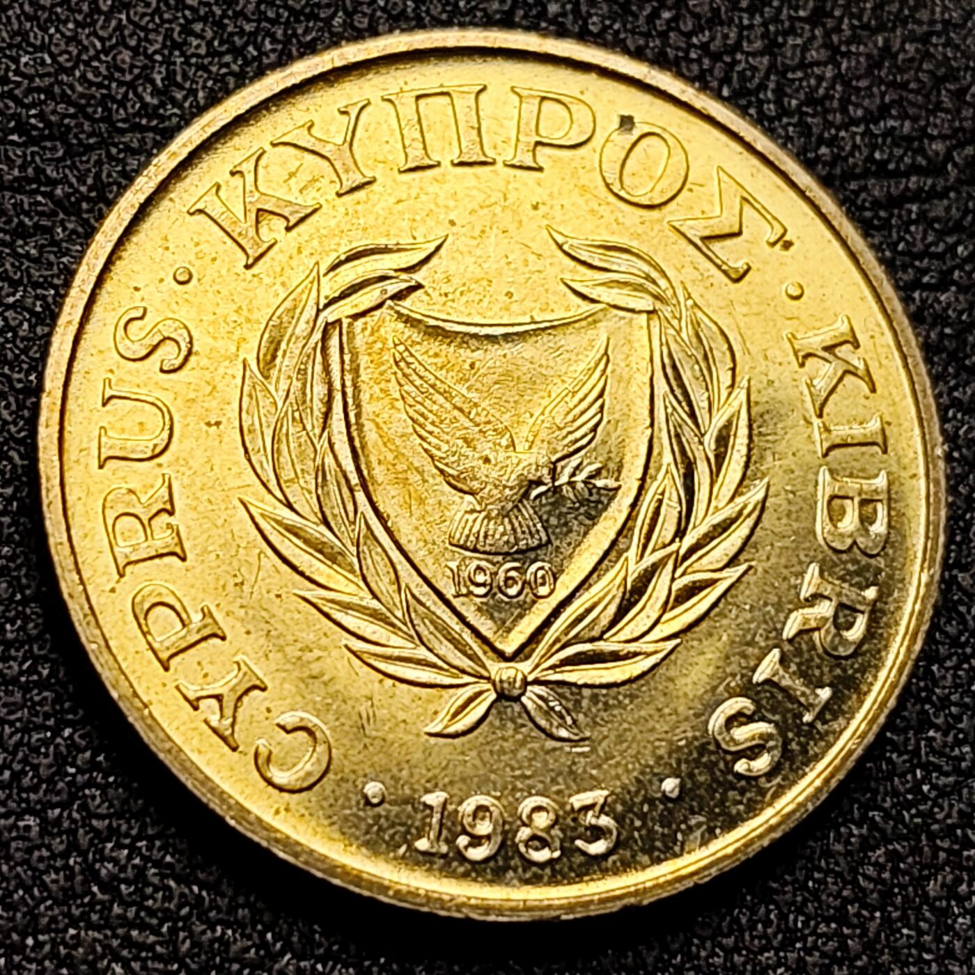 泉币菌-第134场-精品福利场 。