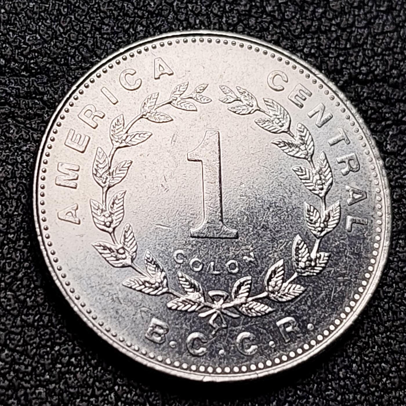 泉币菌-第135场-精品福利场 。