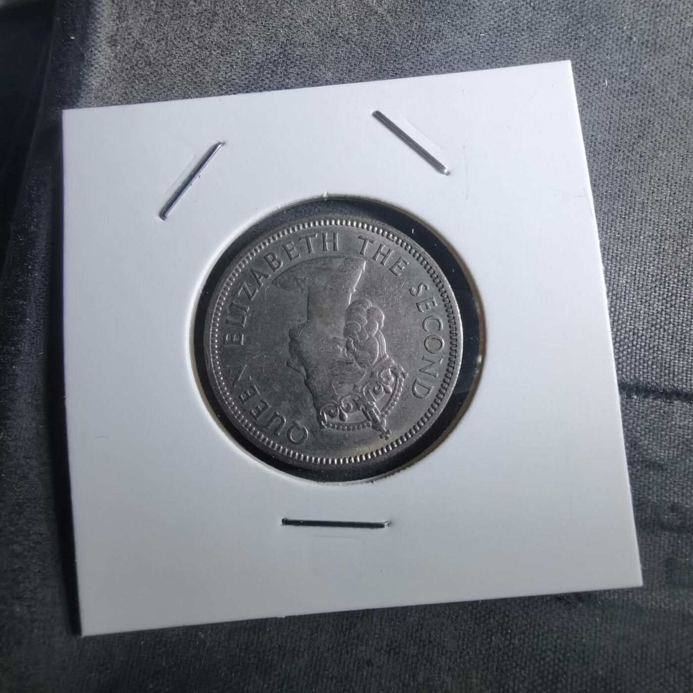 沼泽如烟--第910场